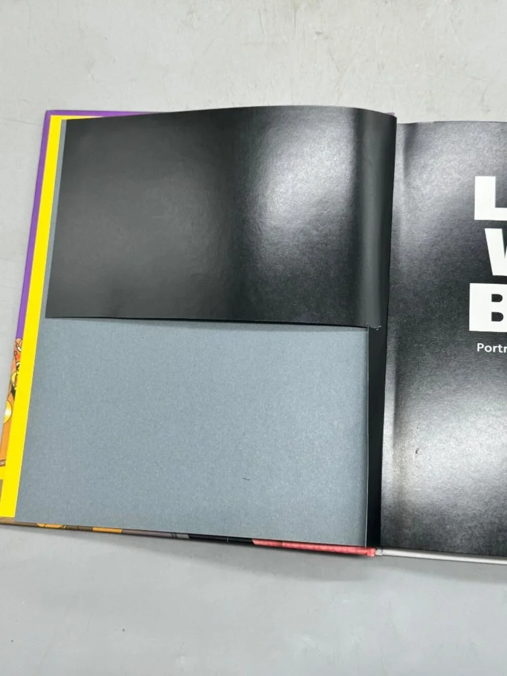 Chronicle Books this hardcover